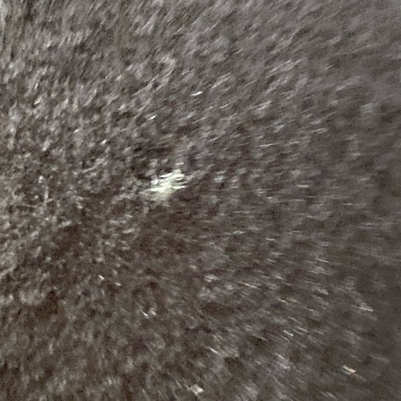 San Diego Hat Co.-Womens Wool Elegant Feminine Black Bow Evening Hat - Picture 13 of 13